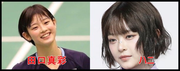 【画像】田口真彩がハニと似ている！